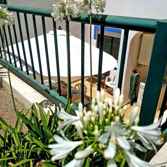 Apartamento Encantador A 100M Da Praia Carvoeiro  Kültér fotó